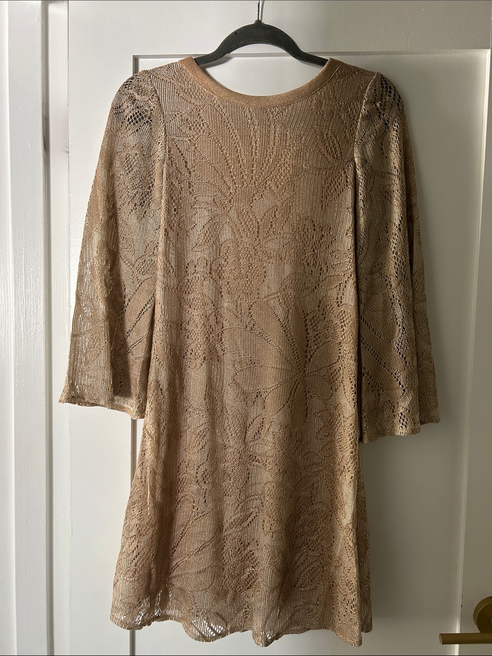 Miguelina Beige Lace A-Line open back Women's Dress